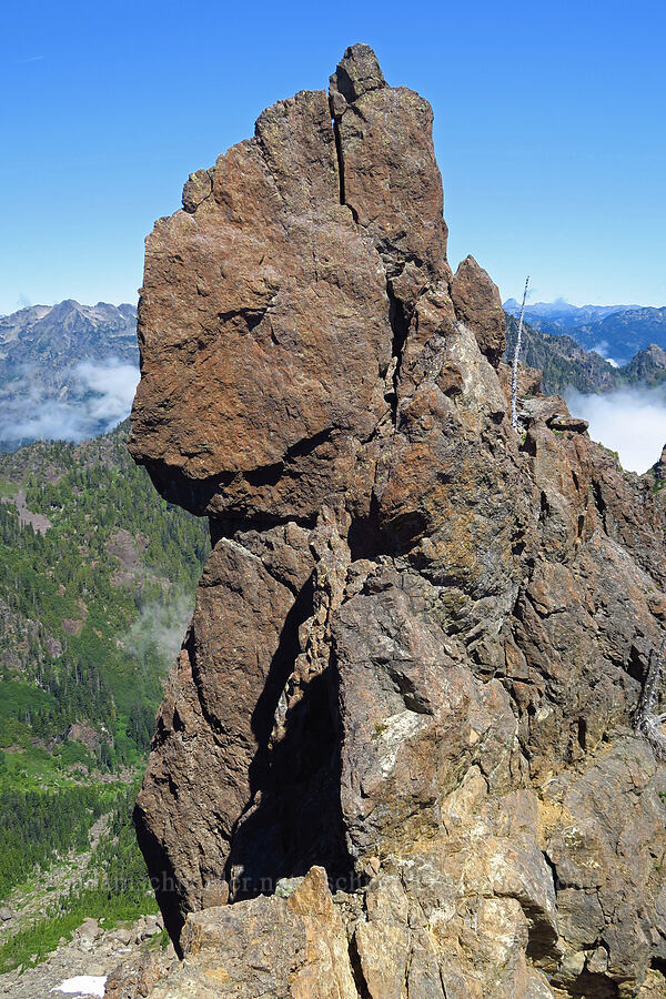 Horse's Mouth [Mt. Ellinor's east ridge, Olympic National Forest, Mason County, Washington]