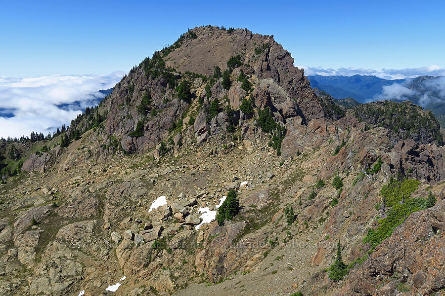 Mount Ellinor's summit [Mt. Ellinor's east ridge, Olympic National Forest, Mason County, Washington]