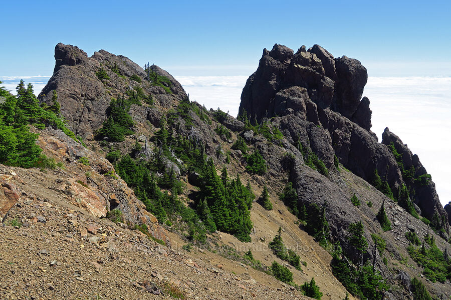 unnamed crag & Point A [Mt. Ellinor's east ridge, Olympic National Forest, Mason County, Washington]