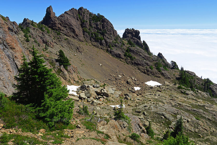 Horse's Mouth, Point B, & Point A [Mt. Ellinor's east ridge, Olympic National Forest, Mason County, Washington]