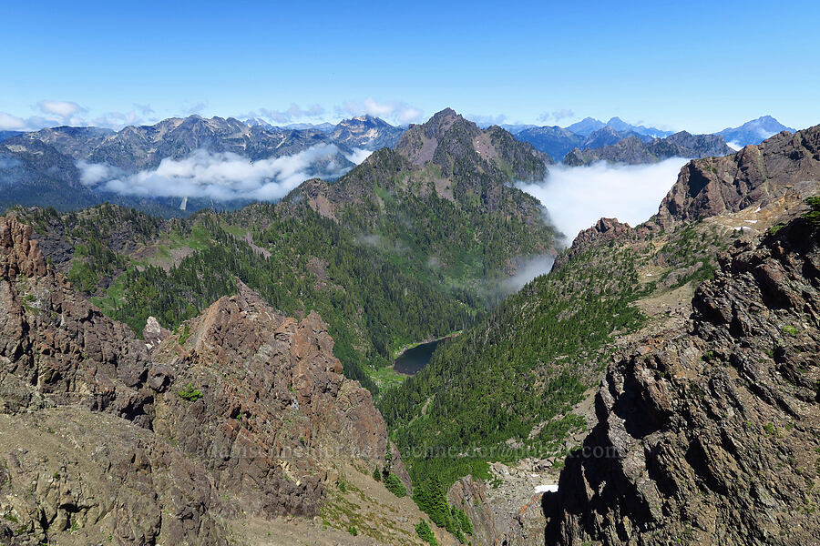 eastern Olympic Mountains [Mt. Ellinor's east ridge, Olympic National Forest, Mason County, Washington]