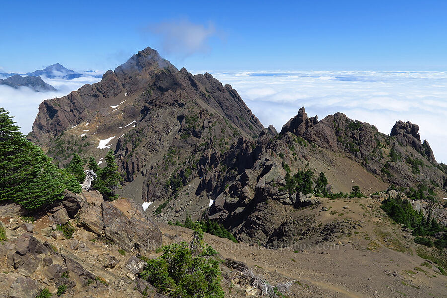 Mount Washington & Mount Ellinor's east ridge [Mt. Ellinor, Olympic National Forest, Mason County, Washington]