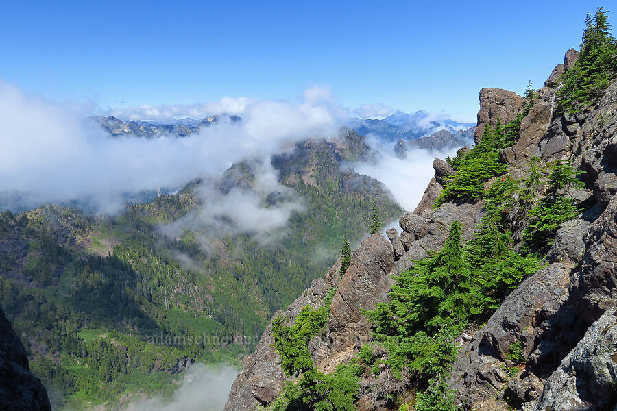 north side of Mount Ellinor [Mt. Ellinor, Olympic National Forest, Mason County, Washington]