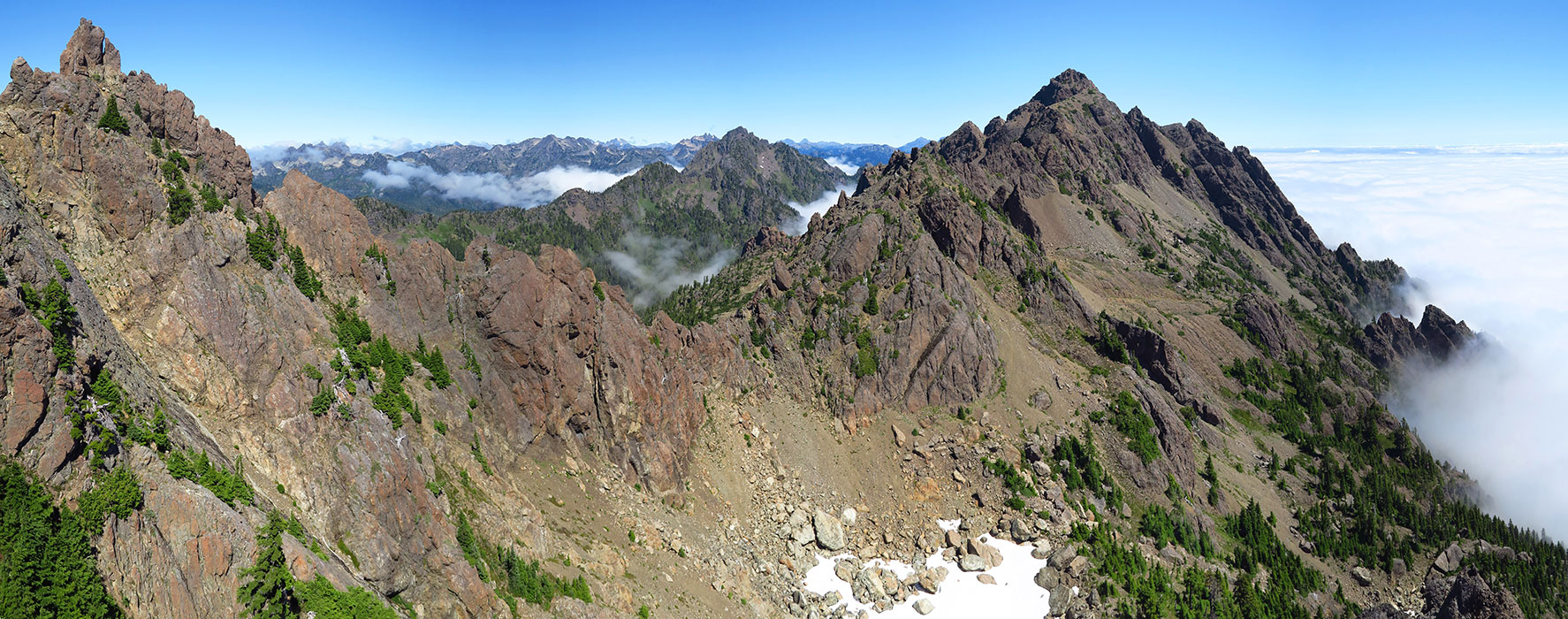 Olympic Mountains panorama [Mt. Ellinor's east ridge, Olympic National Forest, Mason County, Washington]