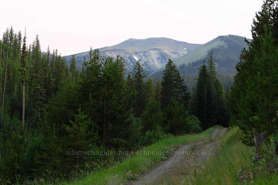 East Peak [McCully Trailhead, Wallowa-Whitman National Forest, Wallowa County, Oregon]