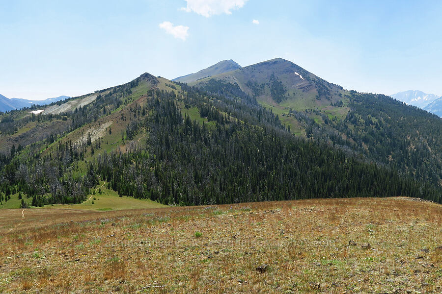 East Peak [Mount Howard, Wallowa-Whitman National Forest, Wallowa County, Oregon]