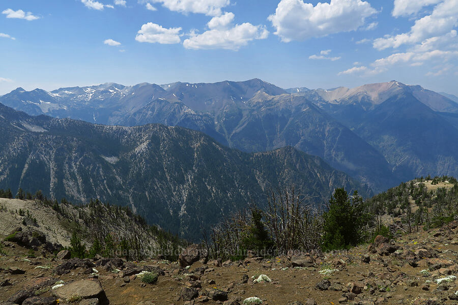 Wallowa Mountains [East Peak Trail, Eagle Cap Wilderness, Wallowa County, Oregon]