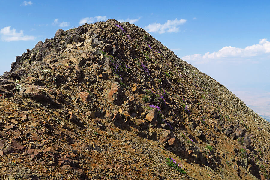 summit of East Peak [East Peak, Eagle Cap Wilderness, Wallowa County, Oregon]