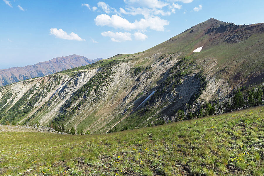 East Peak [East Peak Trail, Eagle Cap Wilderness, Wallowa County, Oregon]