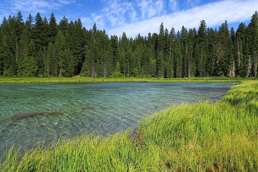 Clackamas Lake [Clackamas Lake, Mt. Hood National Forest, Clackamas County, Oregon]