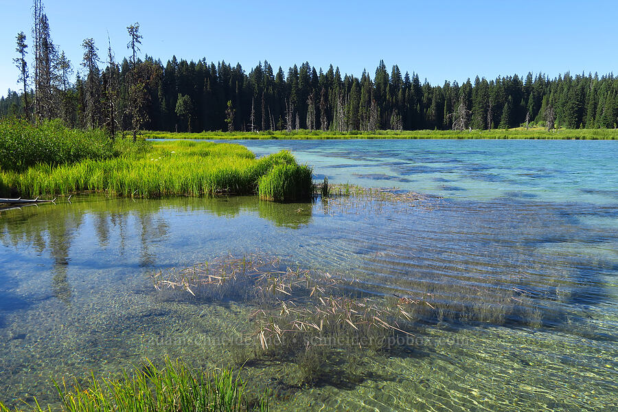 Clackamas Lake [Clackamas Lake, Mt. Hood National Forest, Clackamas County, Oregon]