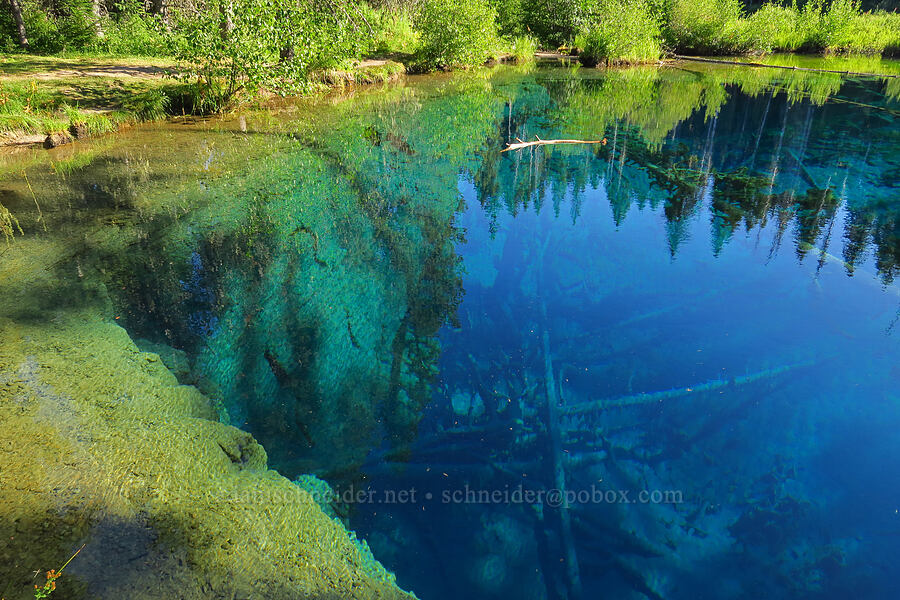 Little Crater Lake [Little Crater Lake Trail, Mt. Hood National Forest, Clackamas County, Oregon]