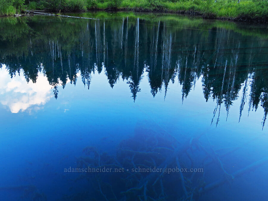 Little Crater Lake [Little Crater Lake Trail, Mt. Hood National Forest, Clackamas County, Oregon]