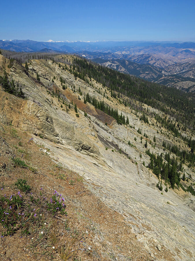 northeast face of Mount Lillian [Mount Lillian, Okanogan-Wenatchee National Forest, Chelan County, Washington]