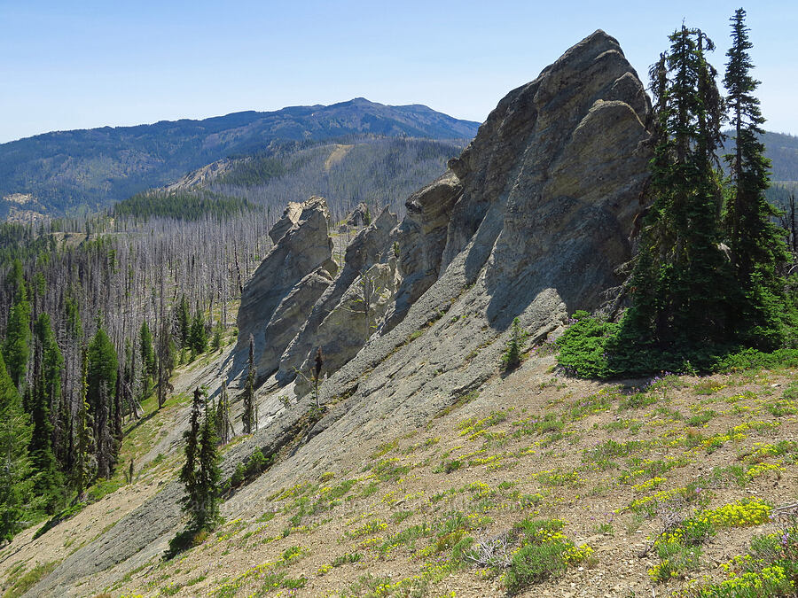 rock pinnacles & Mission Peak [Mount Lillian, Okanogan-Wenatchee National Forest, Chelan County, Washington]