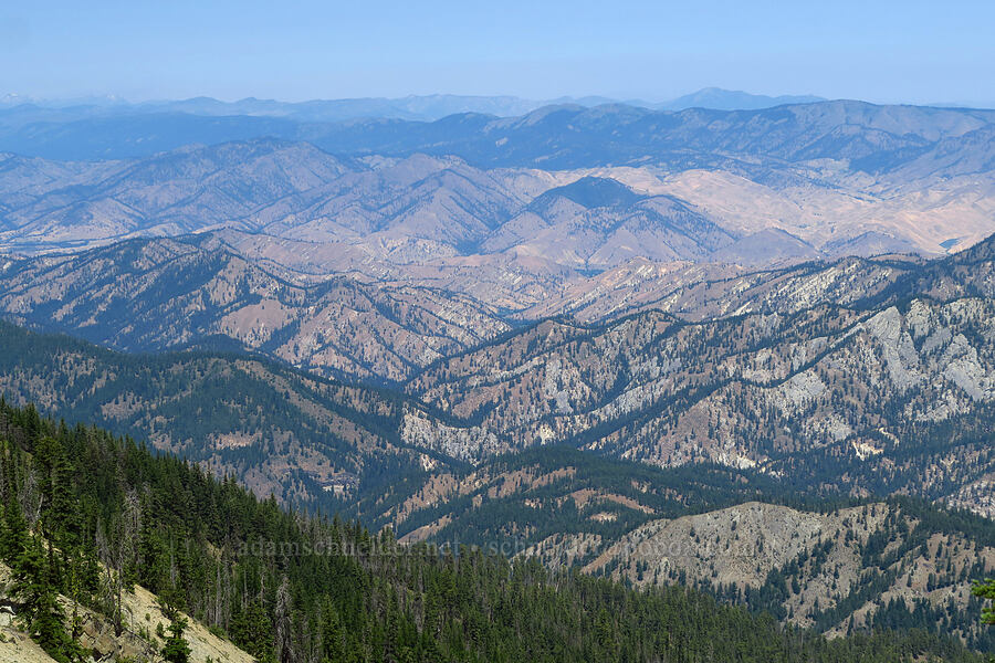 view to the north [Mount Lillian, Okanogan-Wenatchee National Forest, Chelan County, Washington]