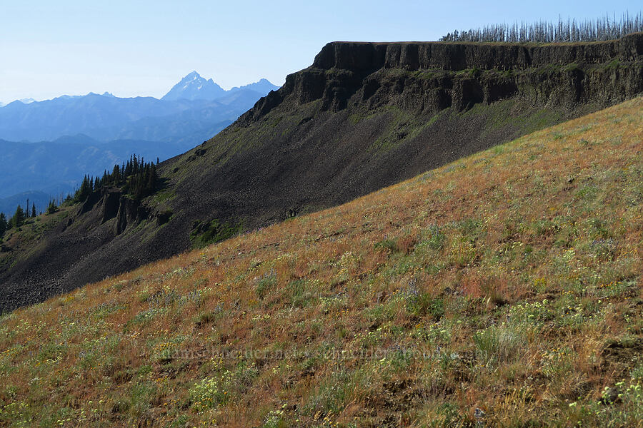 edge of Table Mountain [Table Mountain, Okanogan-Wenatchee National Forest, Kittitas County, Washington]