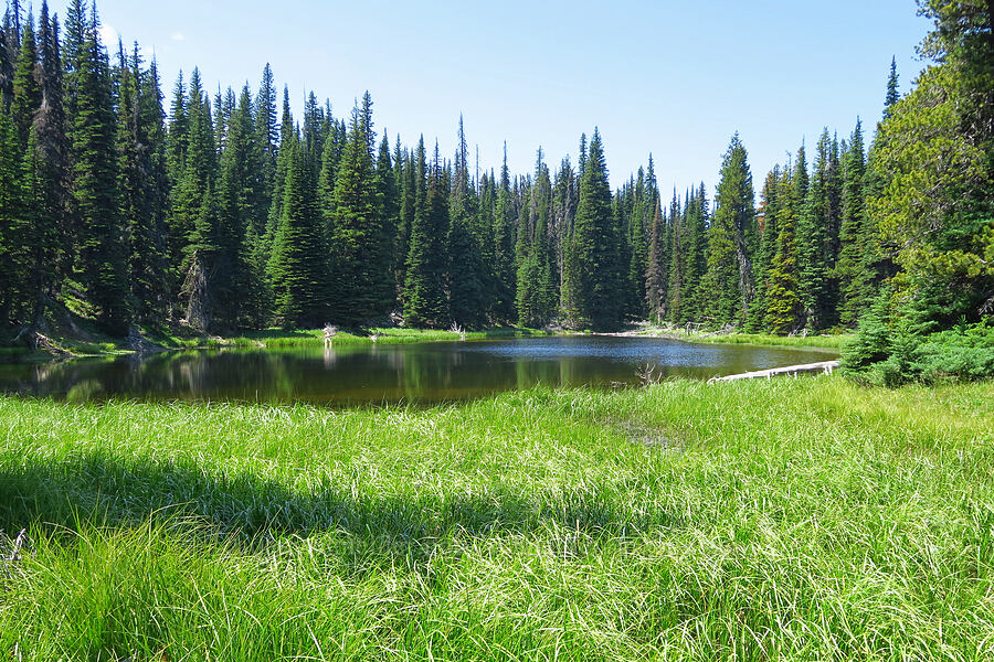 Thea Lake [Mission Peak Trail, Okanogan-Wenatchee National Forest, Chelan County, Washington]