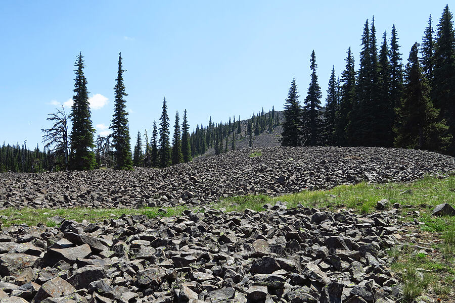 talus [Mission Peak Trail, Okanogan-Wenatchee National Forest, Chelan County, Washington]