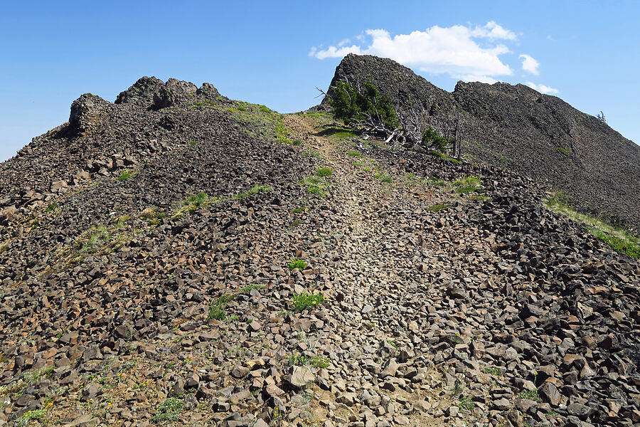 summit of Mission Peak [Mission Peak Trail, Colockum Wildlife Area, Chelan County, Washington]