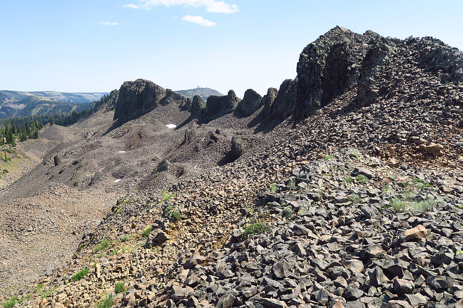 Mission Peak's summit ridge [Mission Peak Trail, Colockum Wildlife Area, Chelan County, Washington]