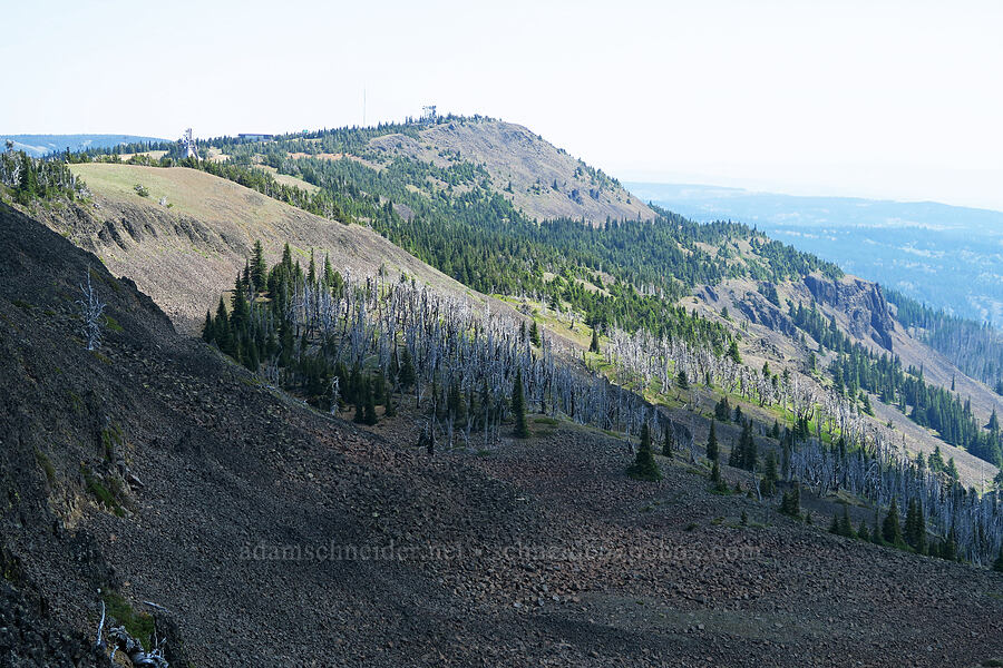 Peak 6835 [Mission Peak, Colockum Wildlife Area, Kittitas County, Washington]