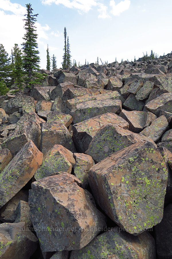 huge talus [Mission Peak, Colockum Wildlife Area, Chelan County, Washington]