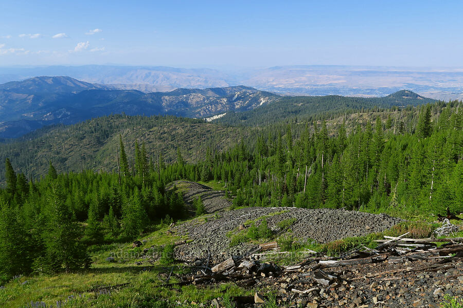 view to the northeast [Forest Road 9712, Okanogan-Wenatchee National Forest, Chelan County, Washington]