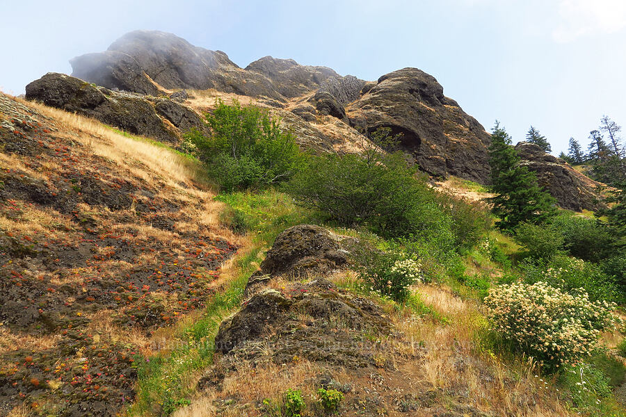 cliffs & blue sky [Saddle Mountain Trail, Clatsop County, Oregon]