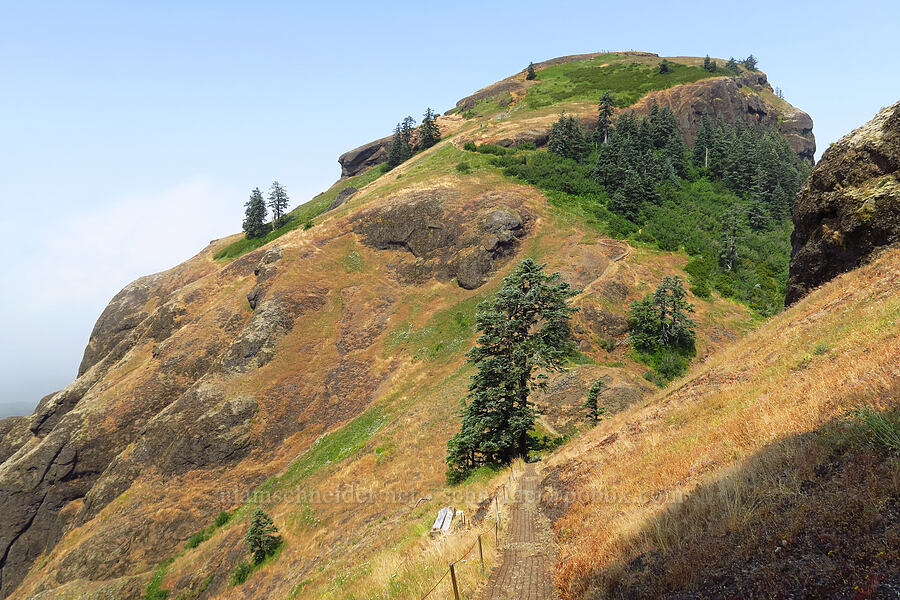 Saddle Mountain's west summit [Saddle Mountain Trail, Clatsop County, Oregon]