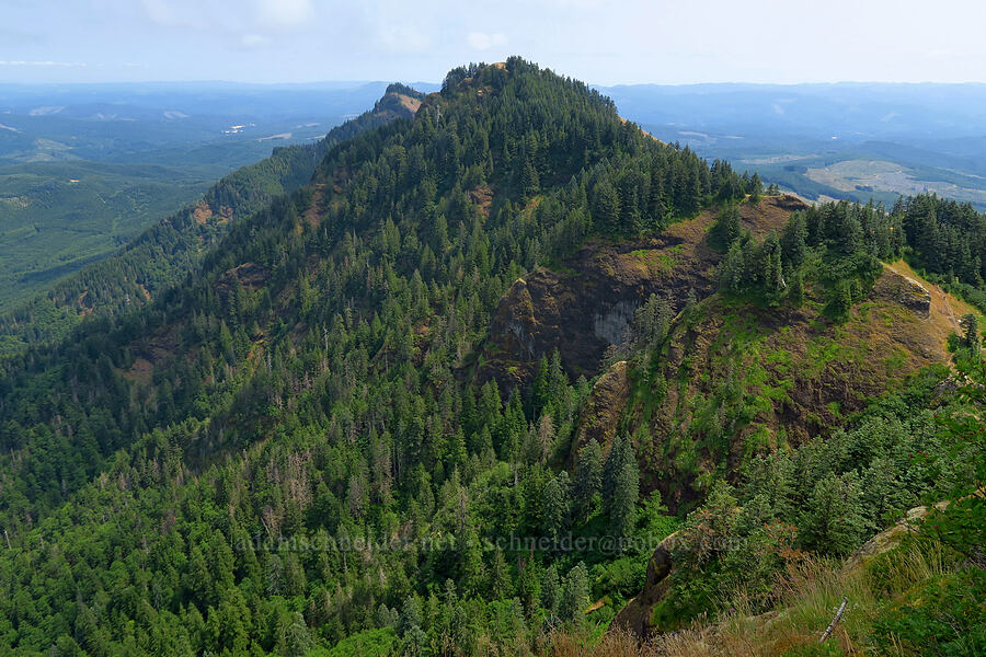 east side of Saddle Mountain [Saddle Mountain, Clatsop County, Oregon]