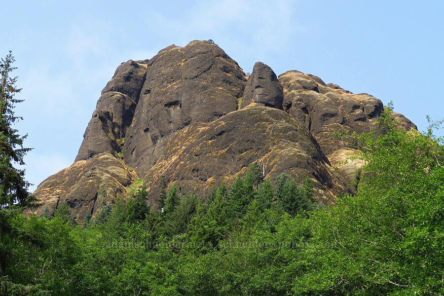 Saddle Mountain [Saddle Mountain Trailhead, Clatsop County, Oregon]