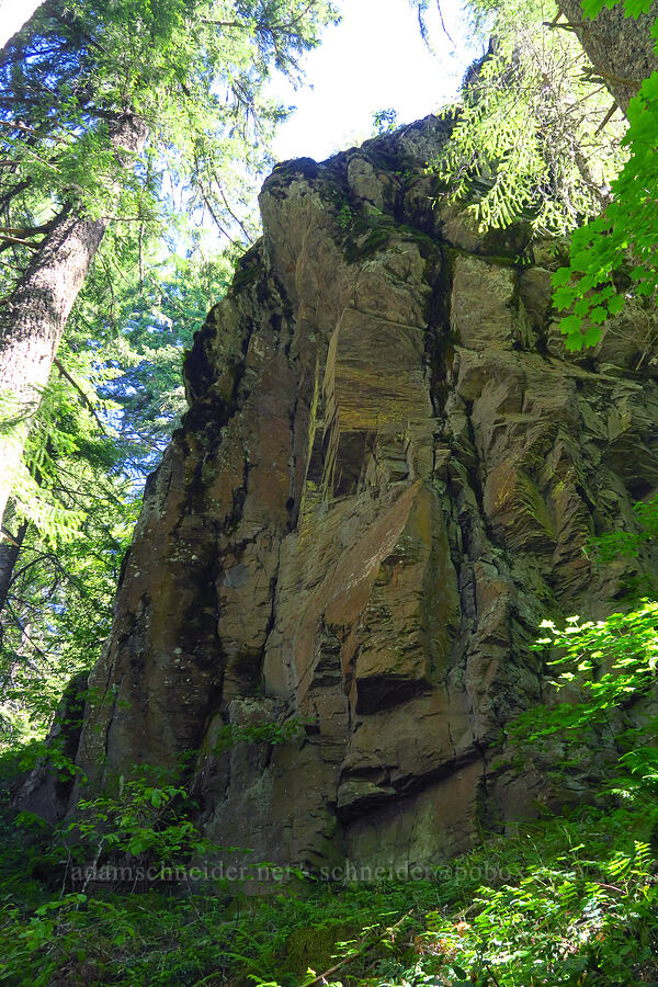 cliffs [Castle Rock, Willamette National Forest, Lane County, Oregon]