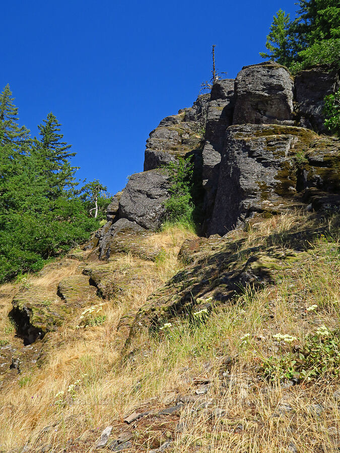 cliffs [Castle Rock, Willamette National Forest, Lane County, Oregon]