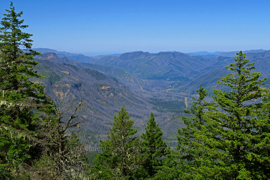 Holiday Farm Fire damage [Castle Rock, Willamette National Forest, Lane County, Oregon]