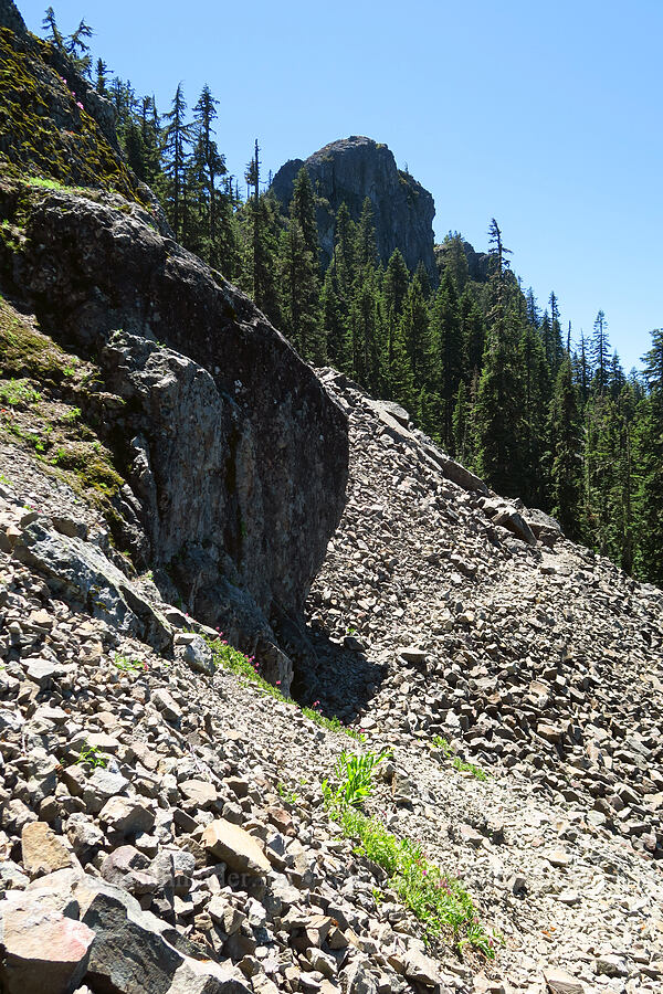 talus [Tidbits Mountain Trail, Willamette National Forest, Linn County, Oregon]