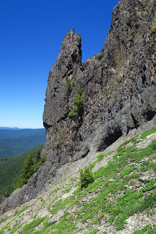 cliffs [Tidbits Mountain, Willamette National Forest, Linn County, Oregon]