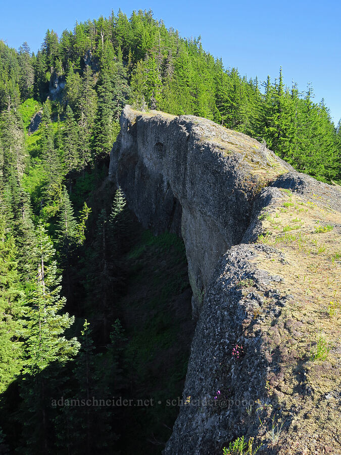 Tidbits Wall [Tidbits Wall, Willamette National Forest, Linn County, Oregon]