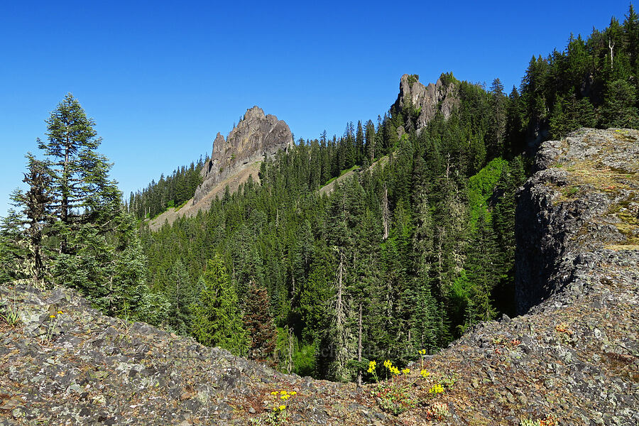 both summits of Tidbits Mountain [Tidbits Wall, Willamette National Forest, Linn County, Oregon]