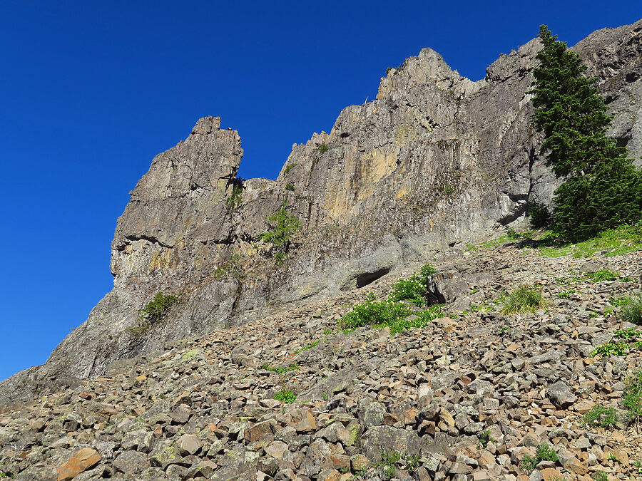 east summit [Tidbits Mountain Trail, Willamette National Forest, Linn County, Oregon]