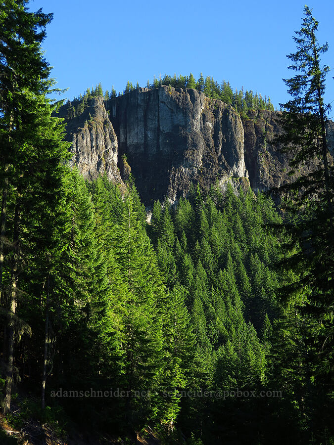 Peak 4402 [Forest Road 2022, Willamette National Forest, Linn County, Oregon]