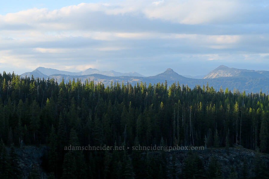 view to the north [Cougar Flat Overlook, Okanogan-Wenatchee National Forest, Yakima County, Washington]