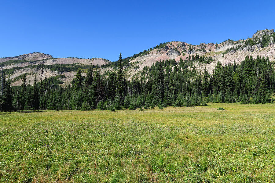 Bear Creek Mountain [Bear Creek Mountain Trail, Goat Rocks Wilderness, Yakima County, Washington]