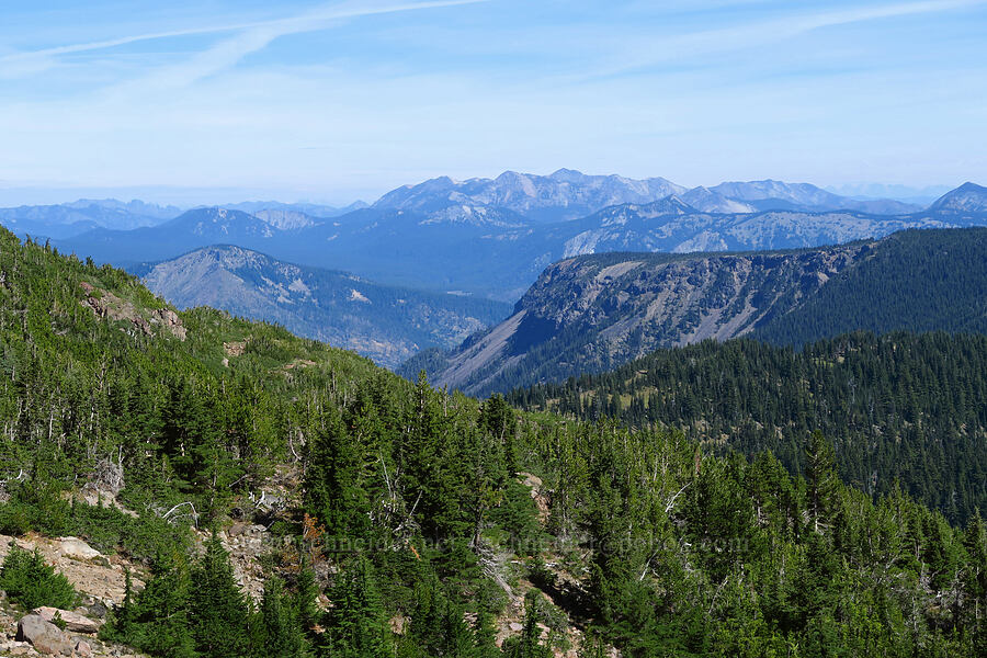 view to the north [Bear Creek Mountain Trail, Goat Rocks Wilderness, Yakima County, Washington]