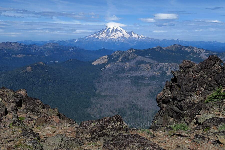 Mount Rainier [Bear Creek Mountain, Goat Rocks Wilderness, Yakima County, Washington]