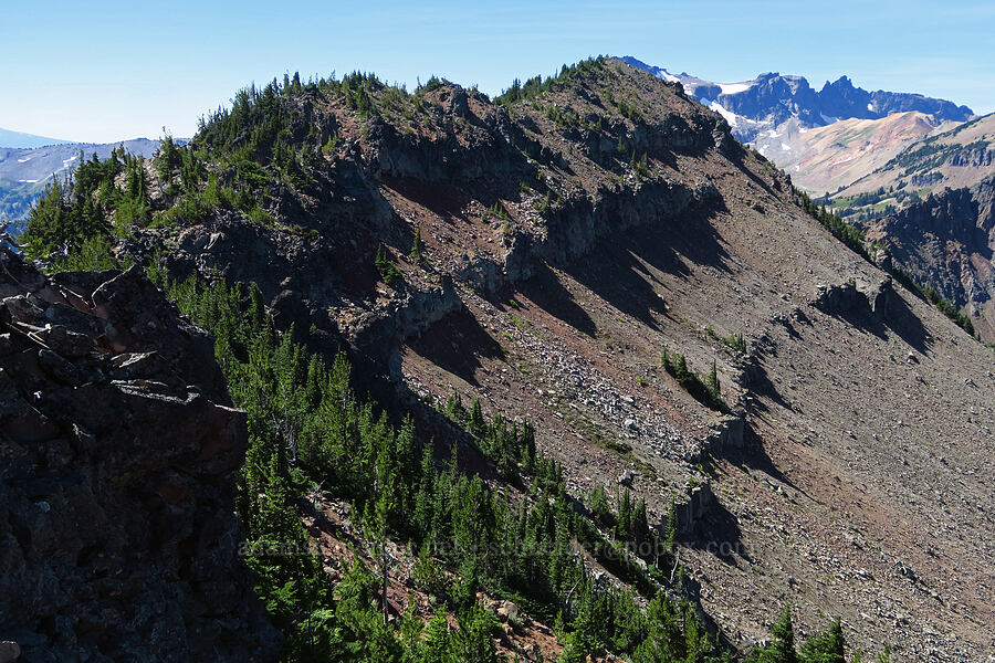 ridge southwest of Bear Creek Mountain [Bear Creek Mountain, Goat Rocks Wilderness, Yakima County, Washington]