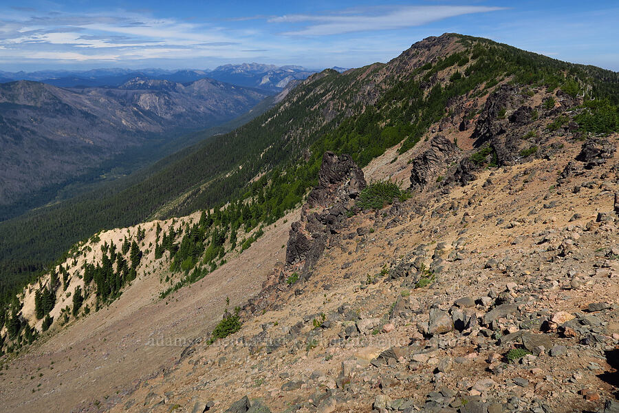 Bear Creek Mountain [ridge southwest of Bear Creek Mountain, Goat Rocks Wilderness, Yakima County, Washington]