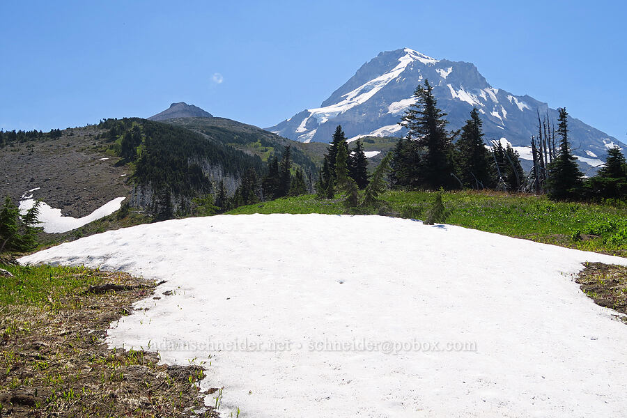 Barrett Spur, Mount Hood, & a snowfield [Vista Ridge, Mt. Hood Wilderness, Hood River County, Oregon]