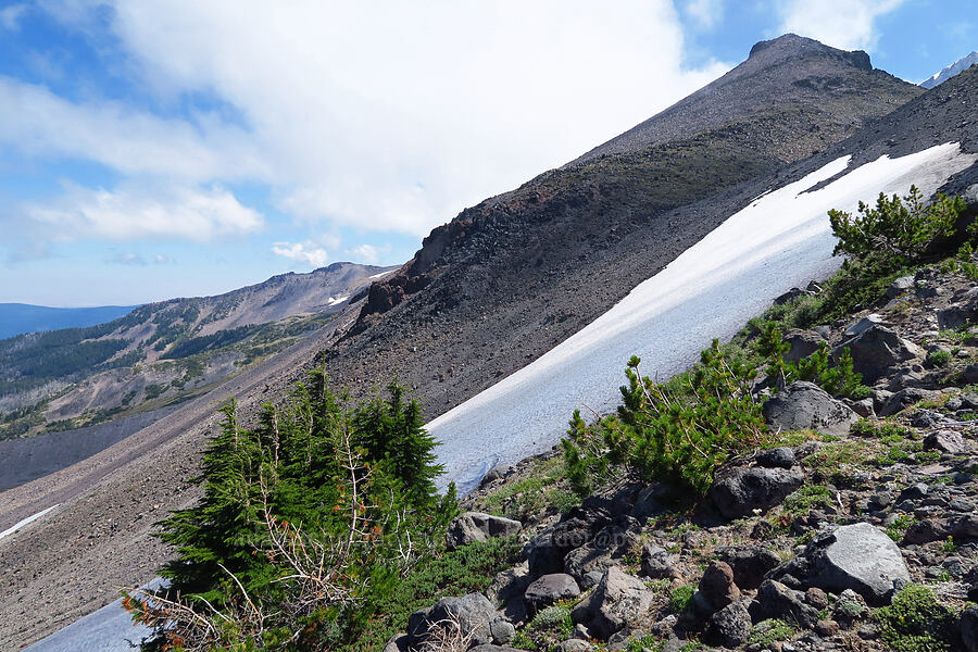 north end of Barrett Spur [Barrett Spur Trail, Mt. Hood Wilderness, Hood River County, Oregon]