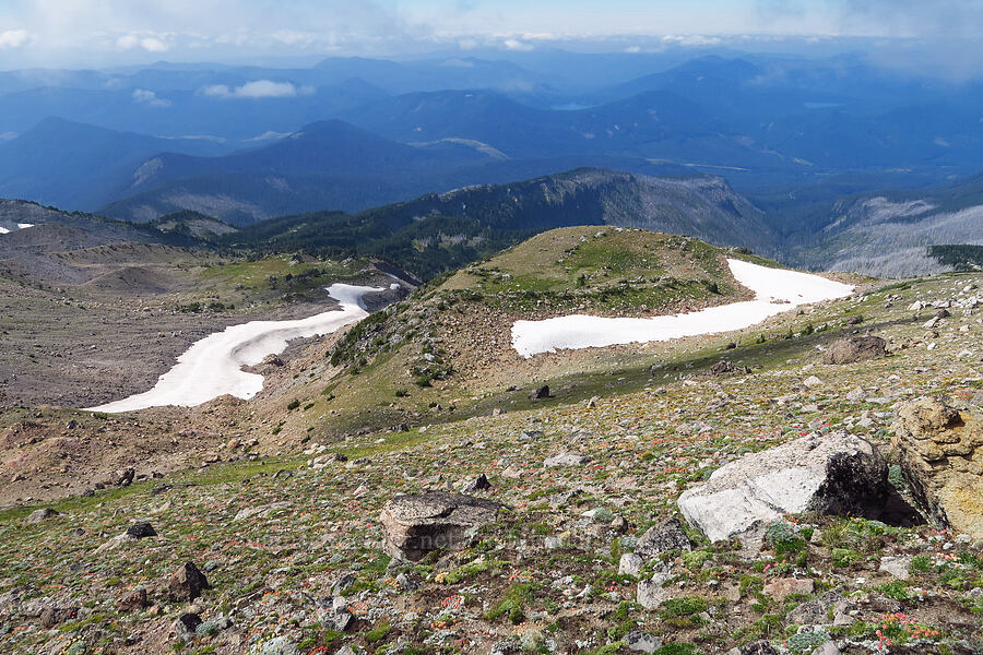 fell fields above Cairn Basin [below Barrett Spur, Mt. Hood Wilderness, Hood River County, Oregon]